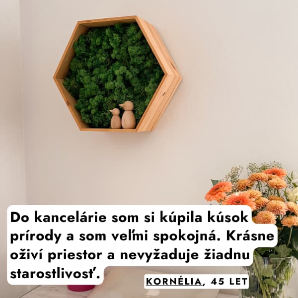 mach-na-stenu-hexagon